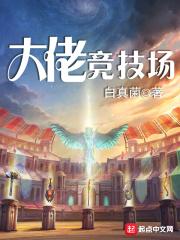 大佬竞技场无防盗