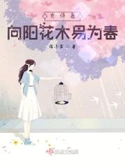 向阳的花木易逢春的意思