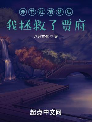 穿书红楼之