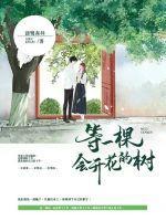 一棵会开花的树歌词含义