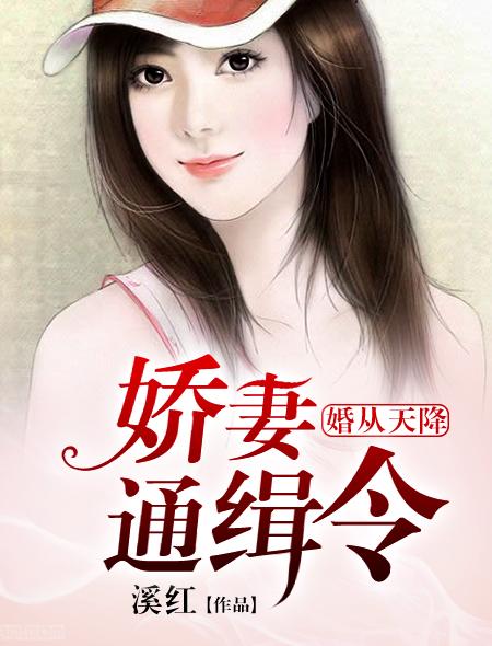 婚从天降娇妻通缉令