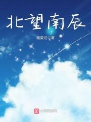 北望南归什么意思