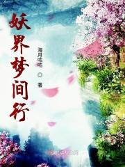 妖妖梦结界